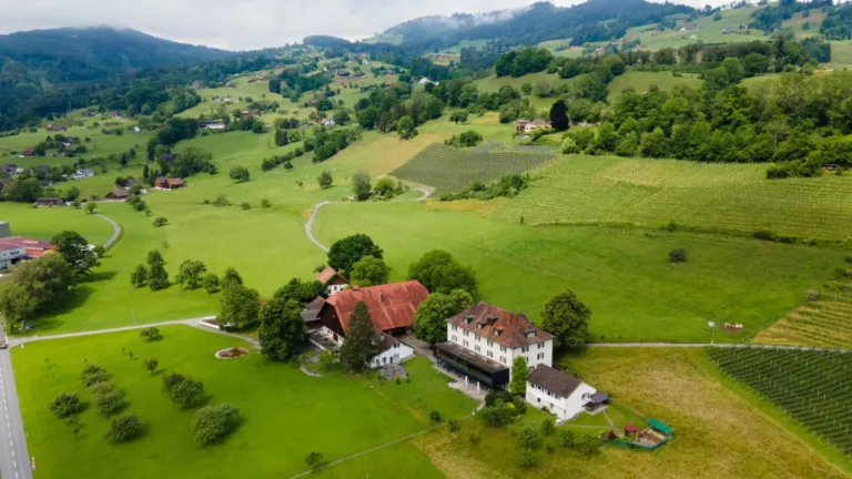 Luftaufnahme des Gutshofs Forst mit Wiesen und Reben